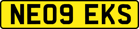 NE09EKS