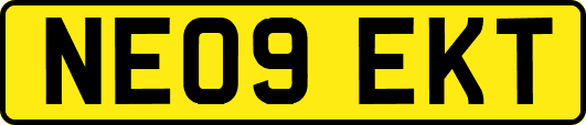 NE09EKT