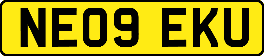 NE09EKU