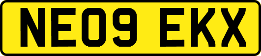 NE09EKX