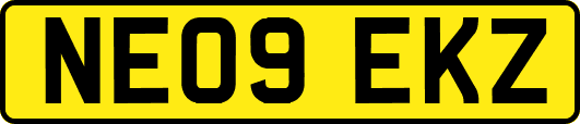 NE09EKZ