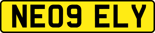 NE09ELY
