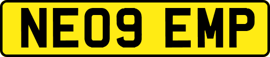 NE09EMP