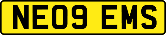 NE09EMS