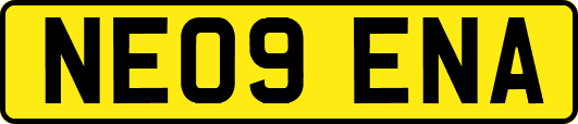NE09ENA