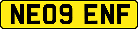 NE09ENF