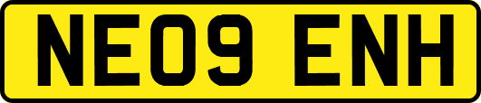 NE09ENH