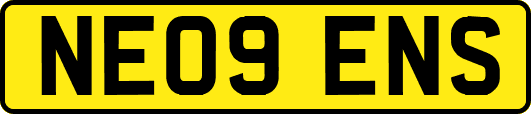 NE09ENS