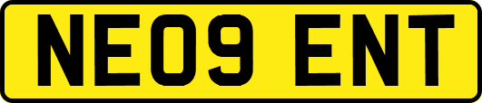 NE09ENT