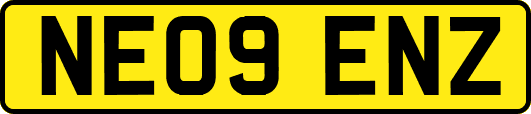 NE09ENZ