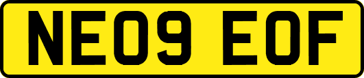 NE09EOF