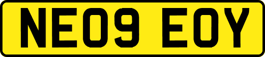 NE09EOY