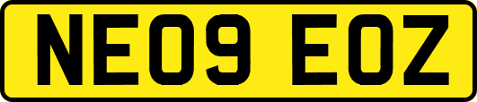 NE09EOZ