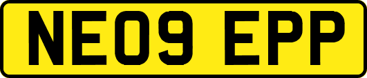 NE09EPP