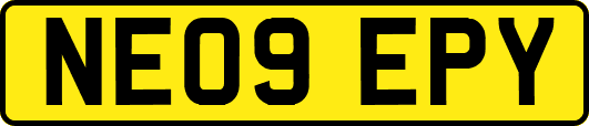 NE09EPY