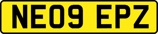 NE09EPZ