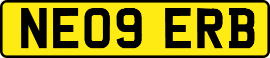 NE09ERB