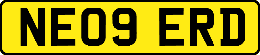 NE09ERD