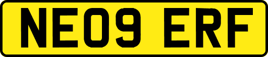 NE09ERF