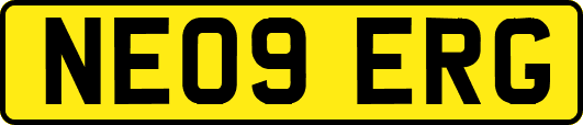 NE09ERG