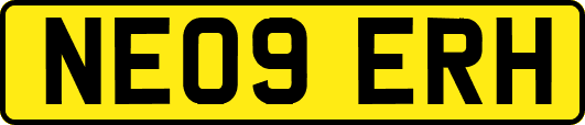 NE09ERH