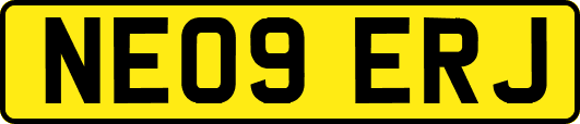NE09ERJ