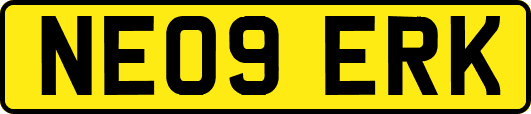 NE09ERK
