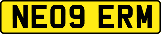 NE09ERM