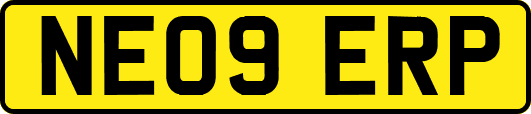 NE09ERP