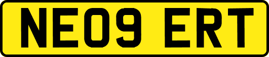 NE09ERT