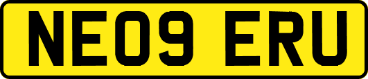 NE09ERU