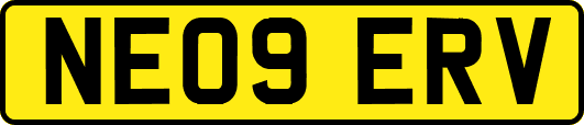 NE09ERV
