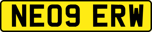 NE09ERW