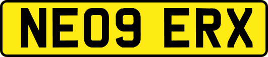 NE09ERX