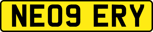 NE09ERY