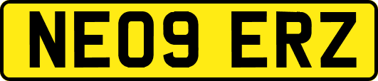 NE09ERZ