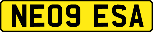 NE09ESA