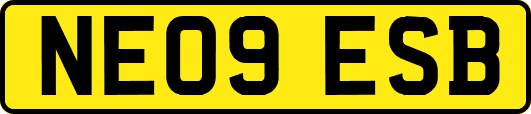 NE09ESB