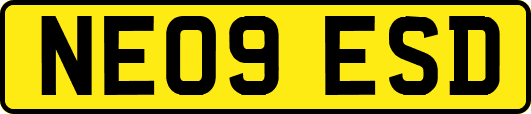 NE09ESD
