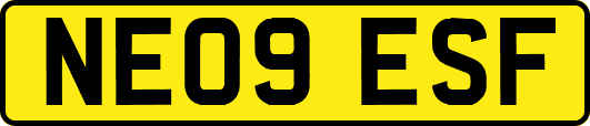 NE09ESF
