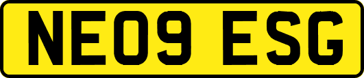 NE09ESG
