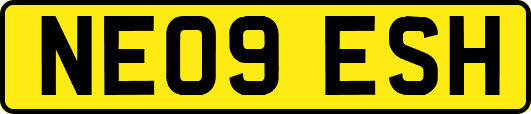 NE09ESH