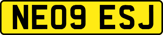 NE09ESJ