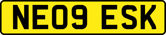 NE09ESK