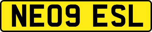 NE09ESL