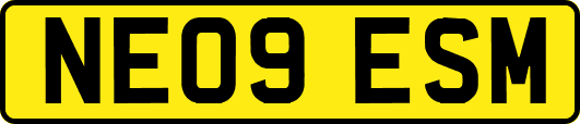 NE09ESM