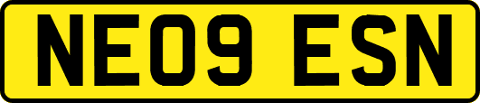 NE09ESN