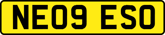 NE09ESO