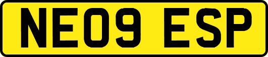 NE09ESP