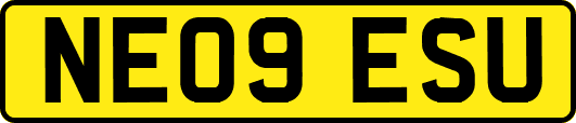 NE09ESU